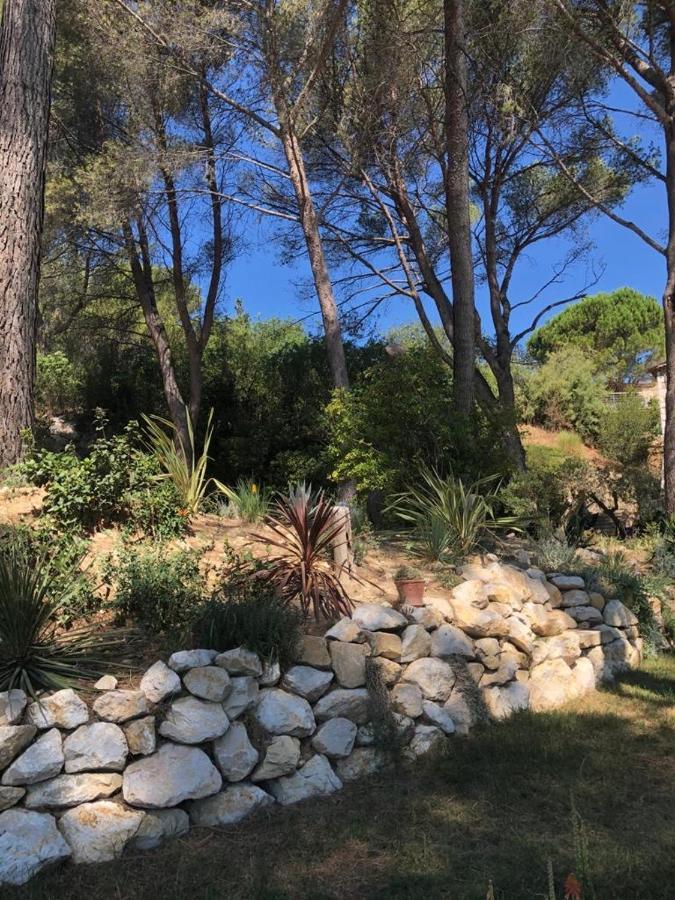 B&B Oasis Des Lavandes - Chambre Coqueliot Villeneuve-lès-Avignon Exterior foto
