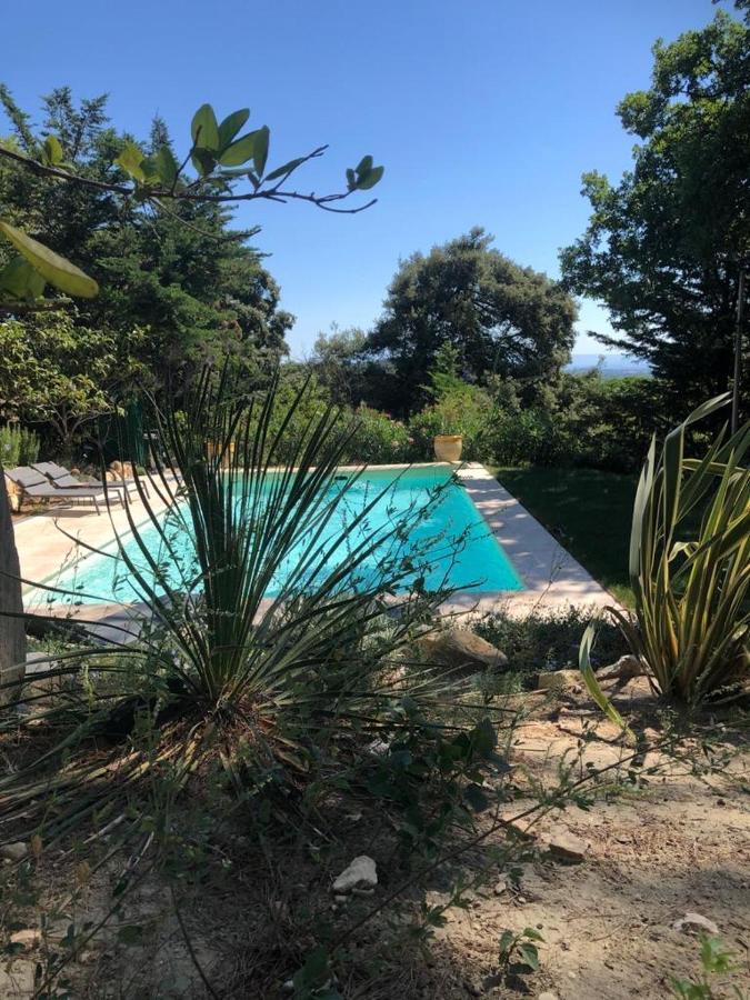 B&B Oasis Des Lavandes - Chambre Coqueliot Villeneuve-lès-Avignon Exterior foto